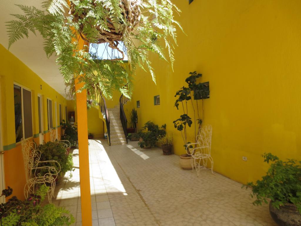 Hotel Maria Esther Matehuala Esterno foto